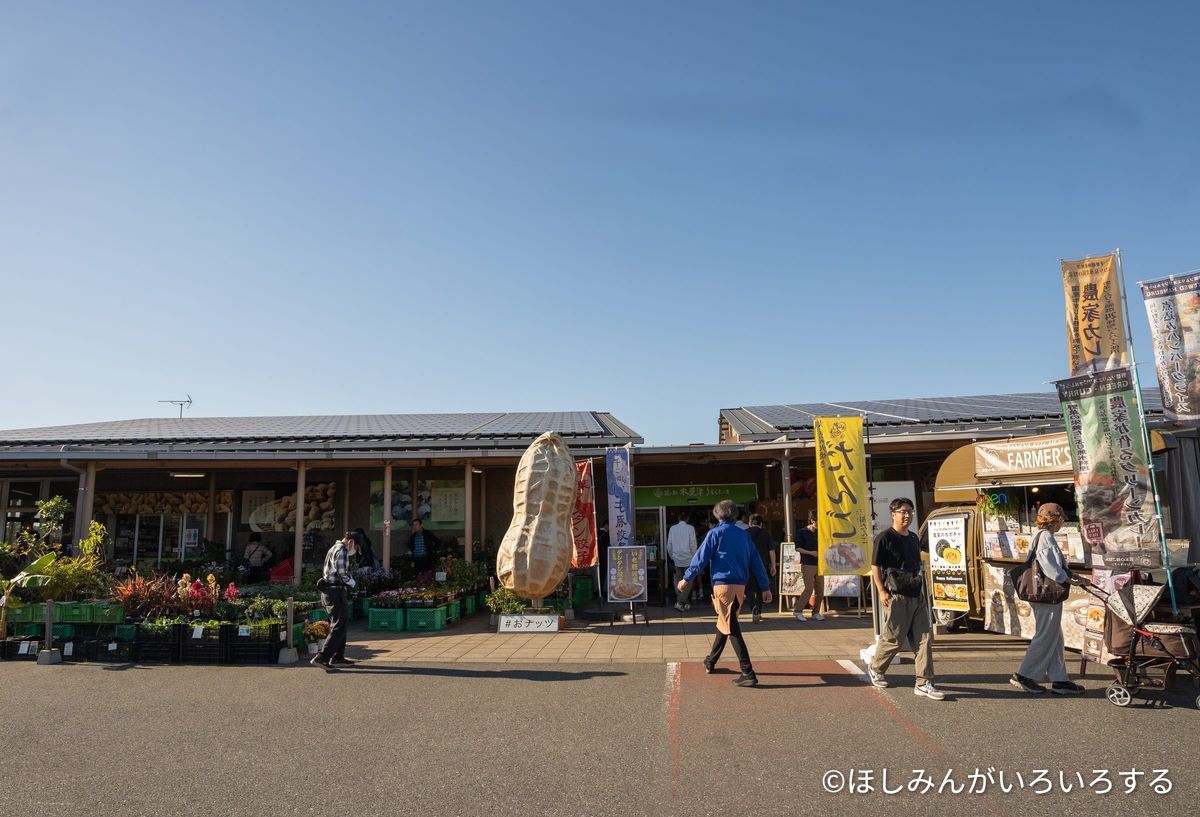 道の駅 木更津うまくたの里の入口。巨大なピーナッツのオブジェ