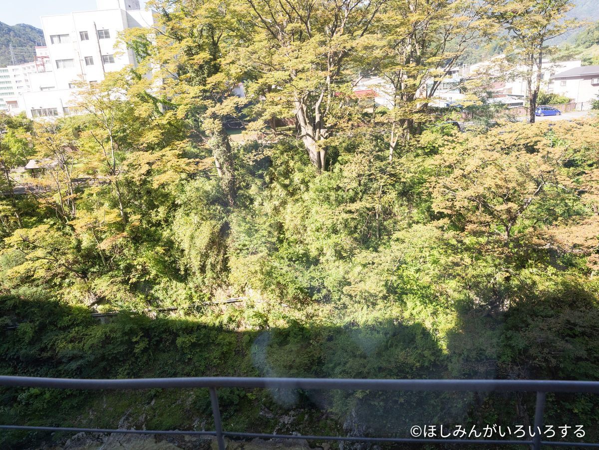宿の窓から見た谷。利根川の渓谷の木々