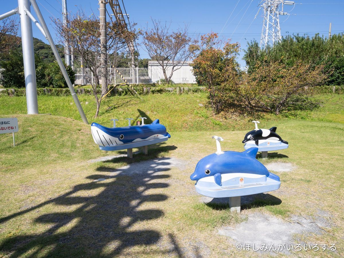 クジラとシャチの形の遊具