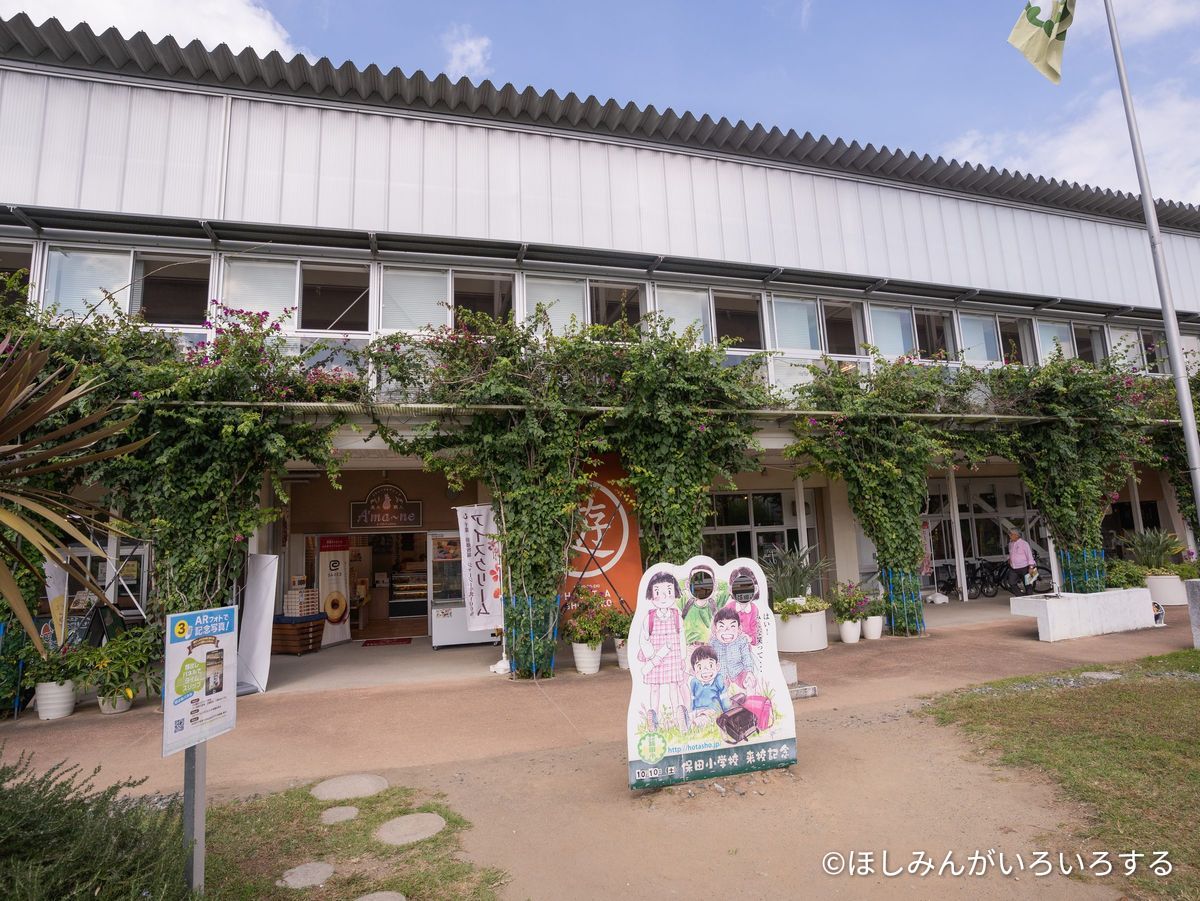 道の駅 保田小学校の校舎。2階建ての校舎にツタがからむ