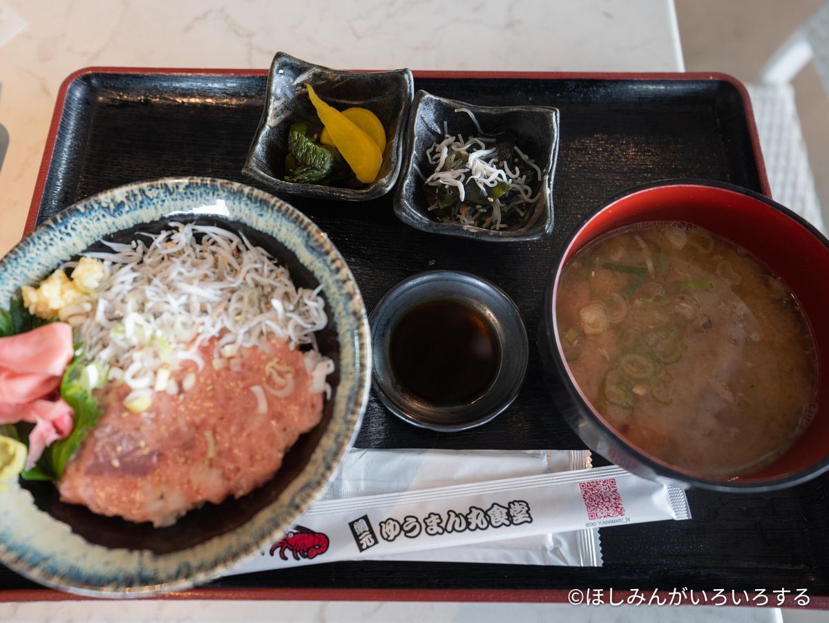 ねぎとろとしらすのハーフ丼のセット。味噌汁と小鉢付き