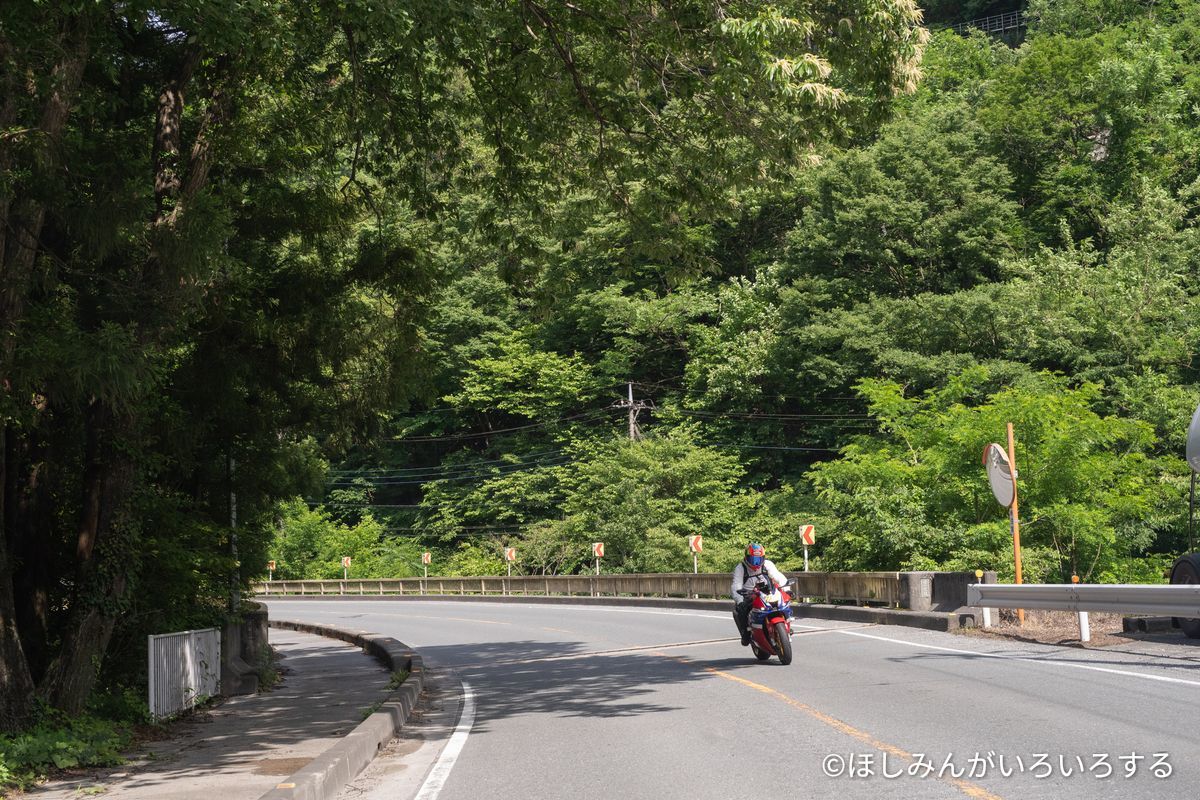 新緑の山道を走るツーリングのバイク