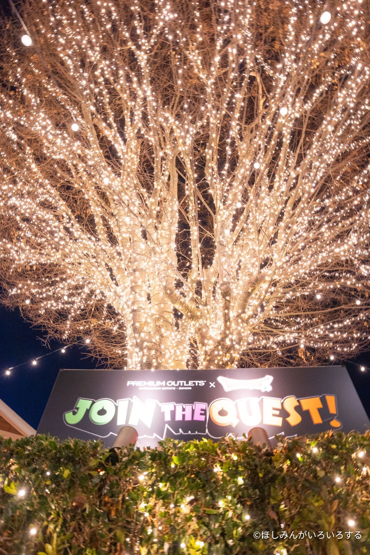 JOIN THE QUEST! の看板とツリーイルミネーション