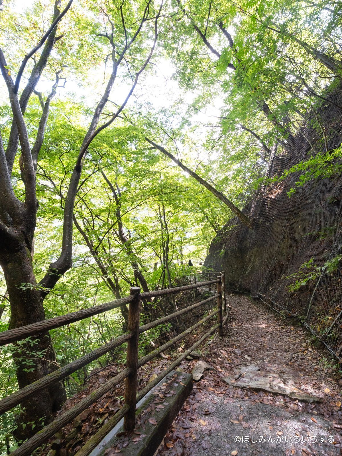 崖沿いの遊歩道