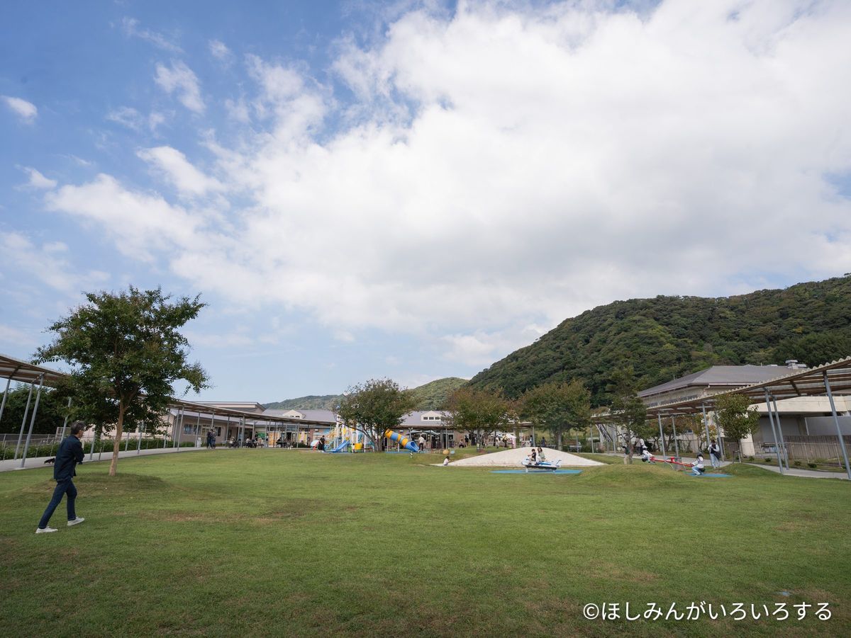 校庭の芝生と遊具
